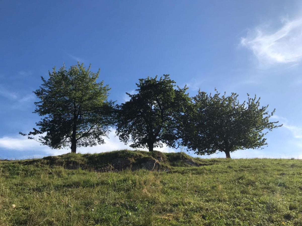 Hirtenrasen 52A Lindewerra Exteriér fotografie